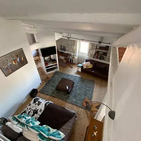 Loft Max & Djeco Climatise + Parking Appartement